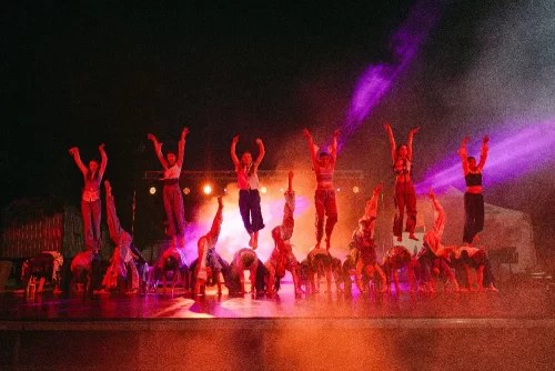 Koncert zus 2025-447