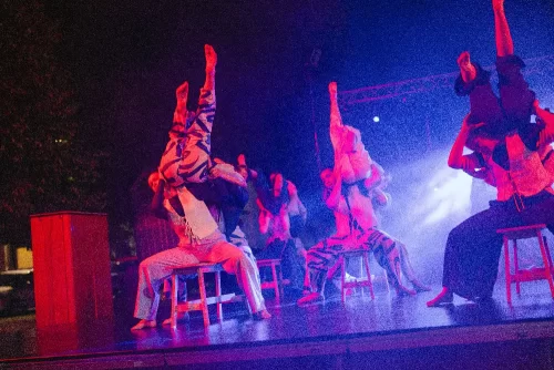 Koncert zus 2025-460