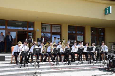 dsc 0132-485x323