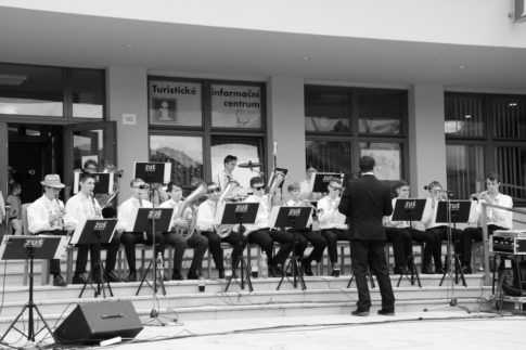 dsc 0151-485x323