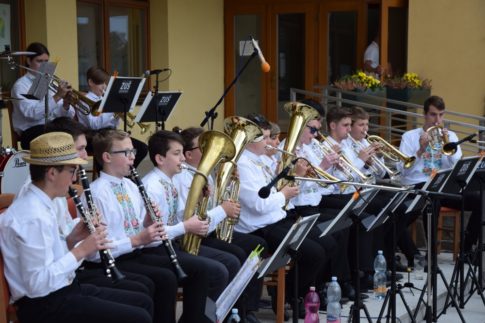 dsc 0162-485x323